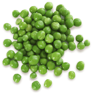 116-1169237_peas-olympian-labs-inc-pea-protein-single-serving