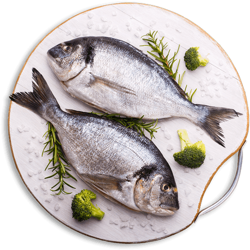 fish-s