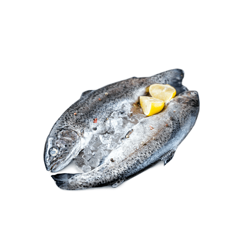 350_vaivorykstinis_upetakis-min-1